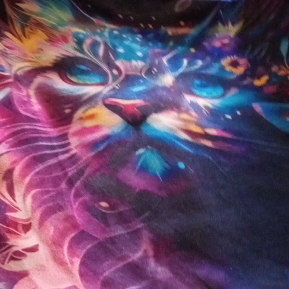 Colorful Kitten And Butterfly Print Set Of Two Pillow Cases Vibrant Col 20 X 20